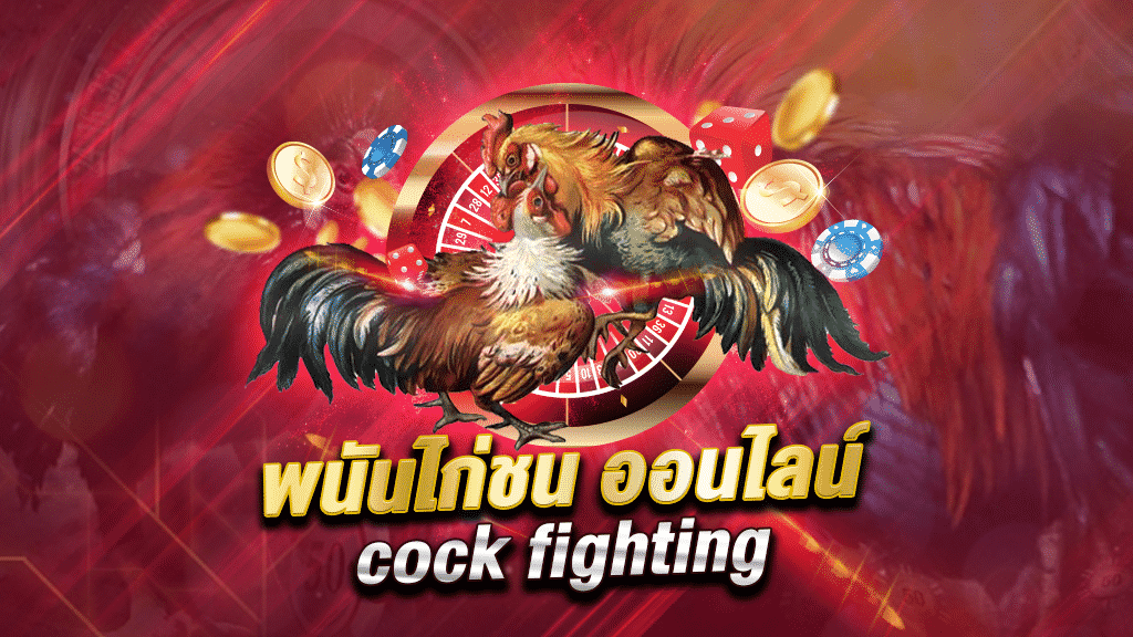 กฎกติกาการแทง ไก่ชนออนไลน์